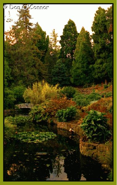 Royal Tasmanian Botanic Gardens.