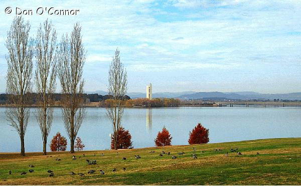 Canberra's Commonwealth Park in autumn.