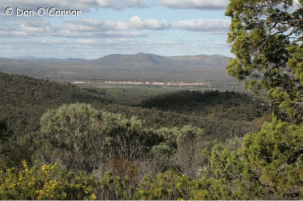 Buckaringa Lookout, Flinders Ranges.