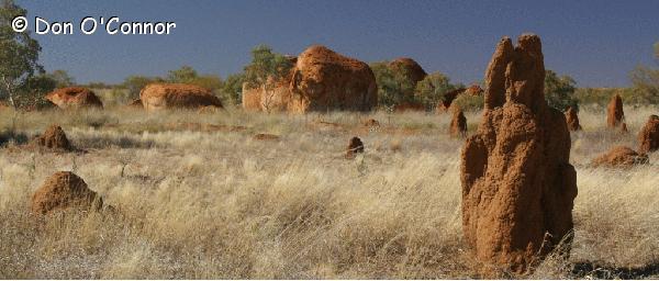 Devil's Marbles and termite mounds.