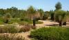 Royal Botanic Gardens, Cranbourne.