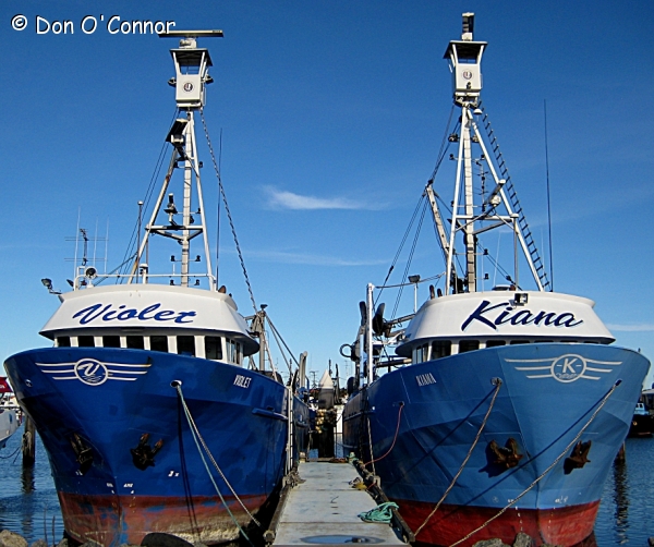Port Lincoln fishing boats.