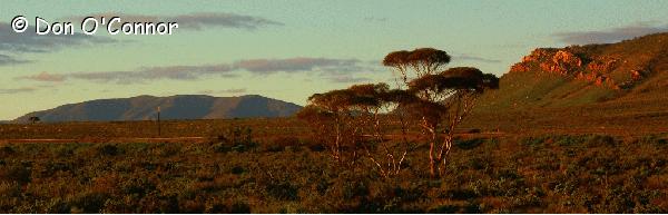 Southern Flinders Ranges.