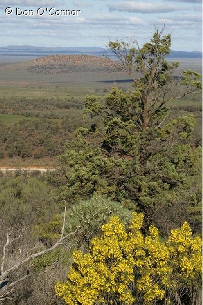 Buckaringa Lookout, Flinders Ranges.