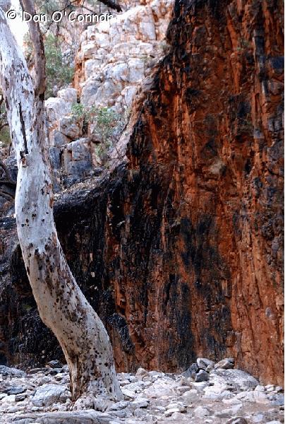Standley Chasm, NT.