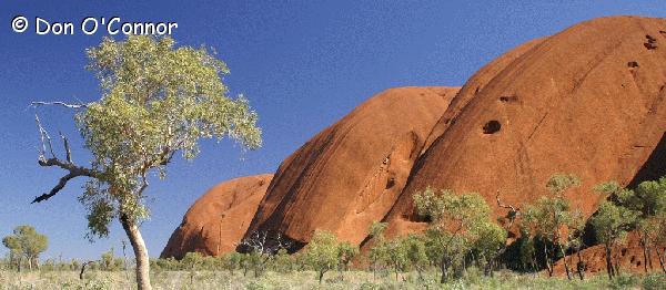 Part of Uluru.