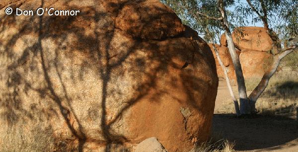 Tree and shadow at Devil's Marbles.