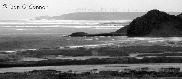 Coastal windfarm.